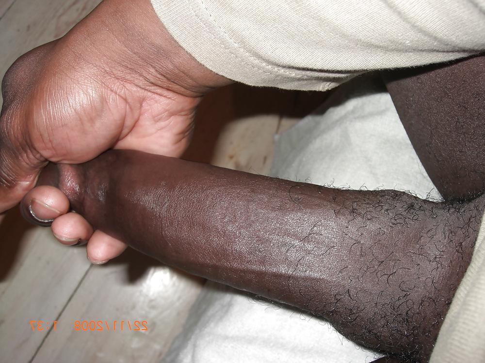 6P Rocking dick for hard cock lovers