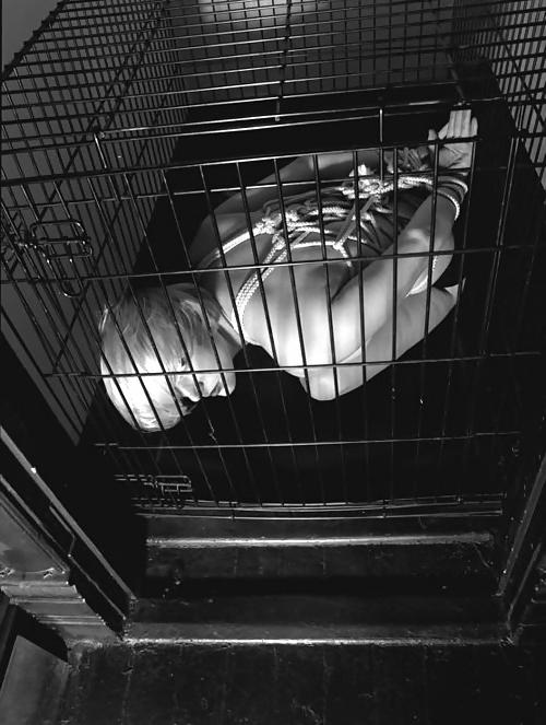 23P Cage 2!