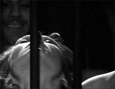 22P Cage 4!