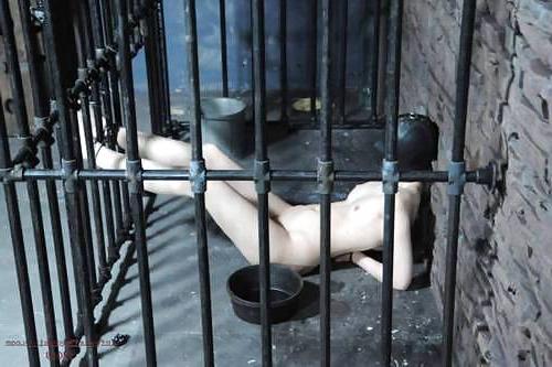 22P Cage 4!
