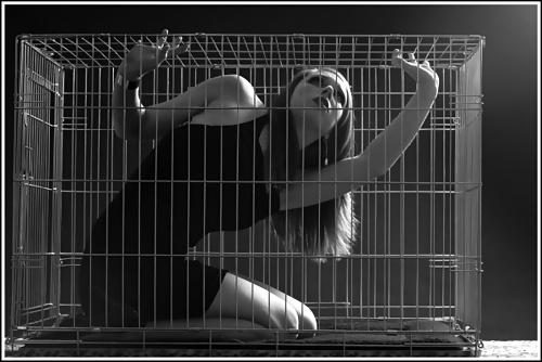 22P Cage 4!