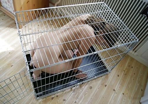24P Cage 9!