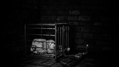 24P Cage 9!
