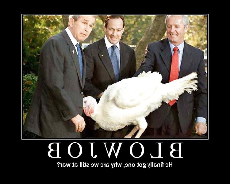 11P Funny Blowjobs