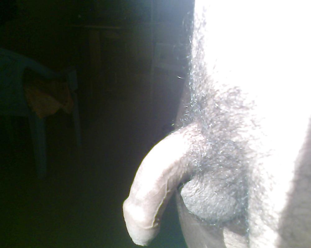 24P My royal king cock...too long