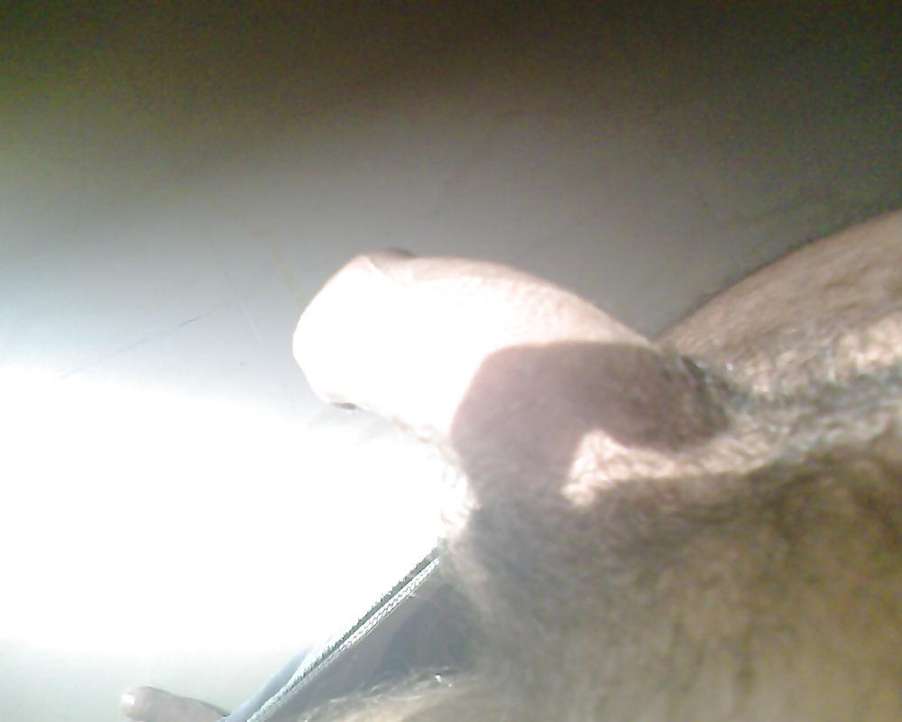24P My royal king cock...too long