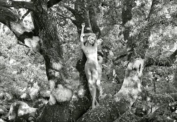 25P 2012 pirelli calendar