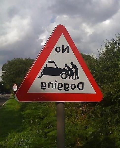 25P DOGGING SLUTS MIX