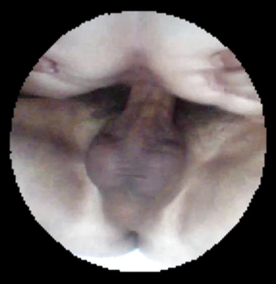 11P Fucking my wife on hidden cam