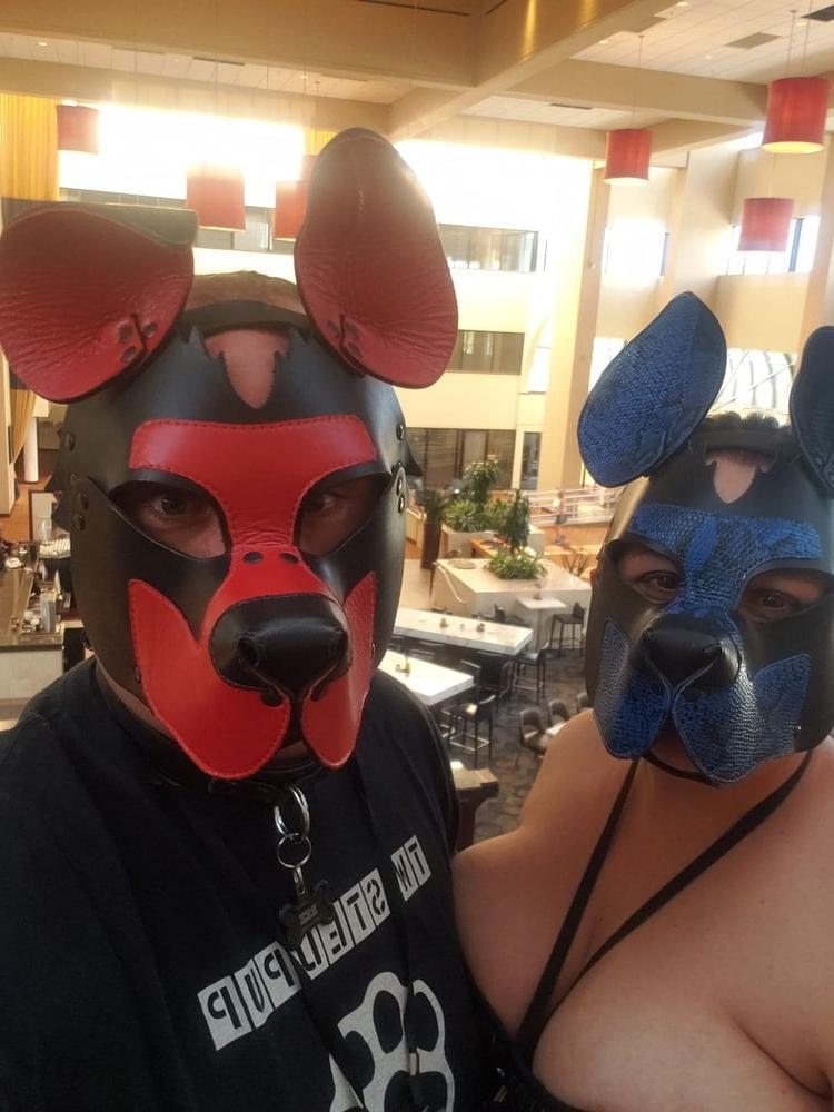 22P Puppy love Couples edition