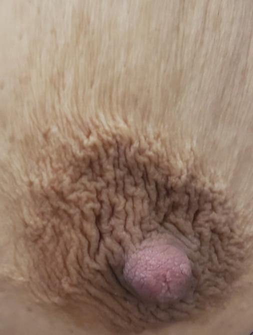 25P Esposa ELA ca 90033 fuck meat whore used loose mom