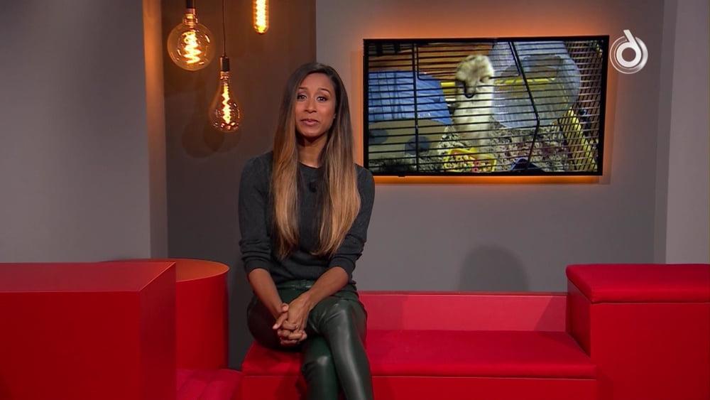 25P Airen Mylene dutch cel tv babe