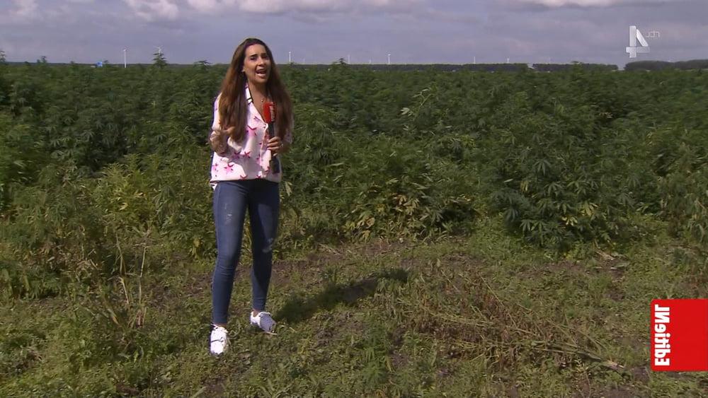 25P Annemarie Landman dutch tv babe