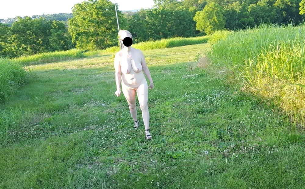 25P another day in the park