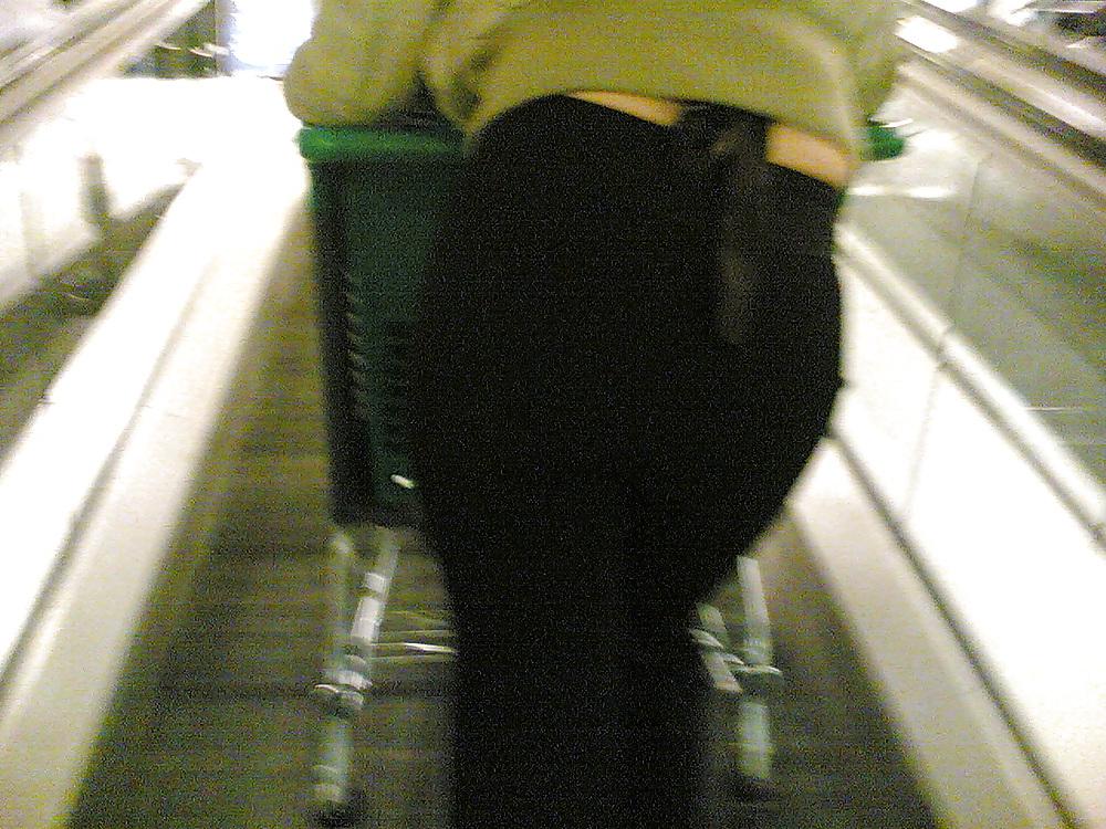25P Asses of the world