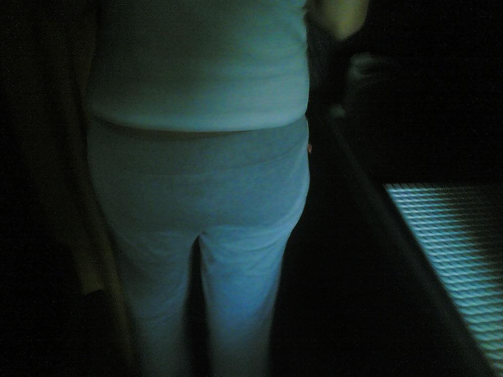 25P Asses of the world