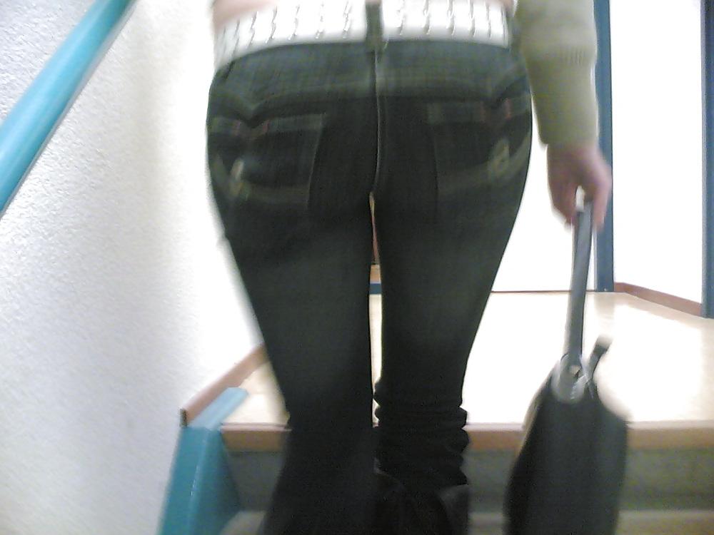 25P Asses of the world