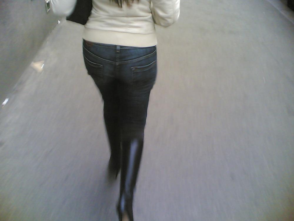 25P Asses of the world