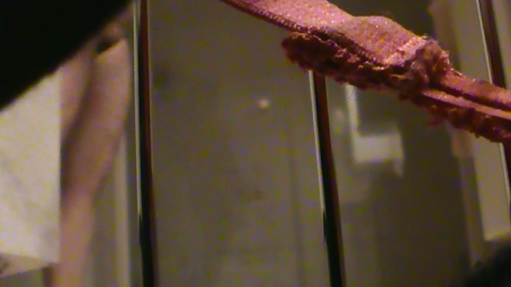 13P Bbw molli versteckte bad cam
