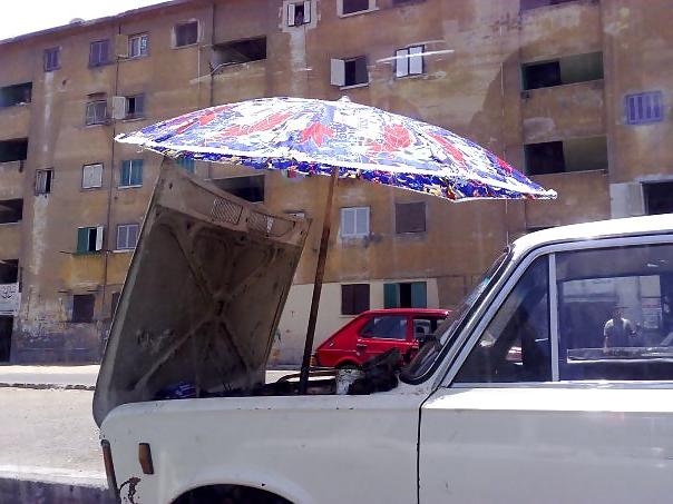 15P Egypt - fun - funny