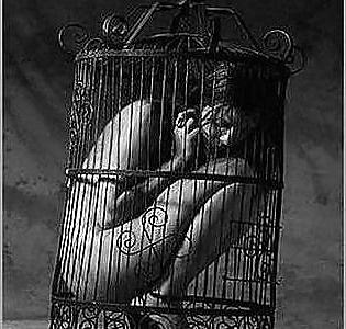 25P Cage!