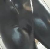 25P Leather cameltoe 9