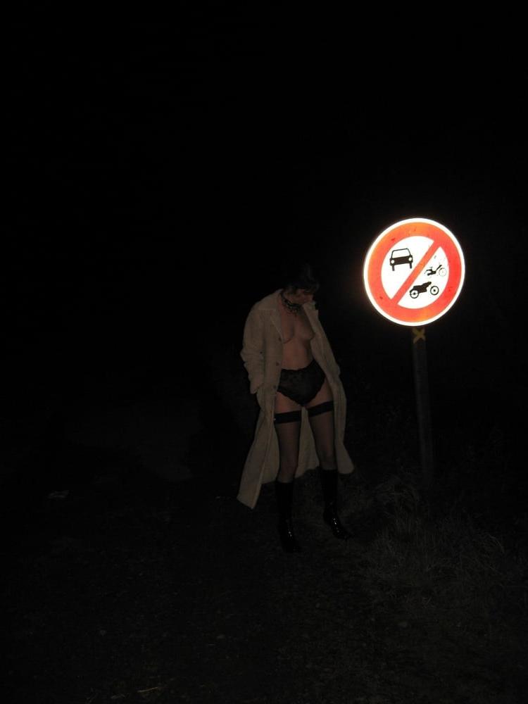 25P French Swinger Slut Goes Dogging #6