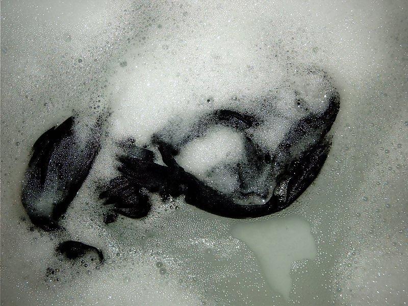 20P In Strumpfhose im Wasser - in pantyhose in water