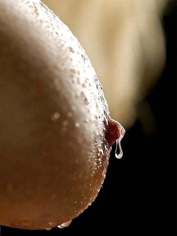 25P Women I'd Like to Fuck - Misc. Fuck Pigs