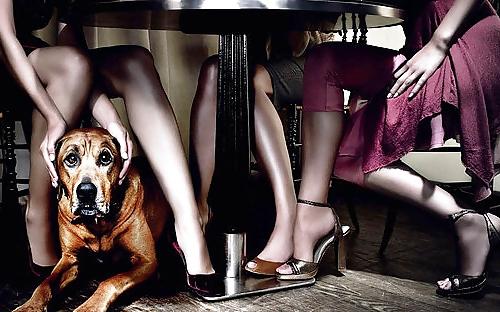 25P High Heels & Long Legs
