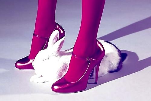 25P High Heels & Long Legs