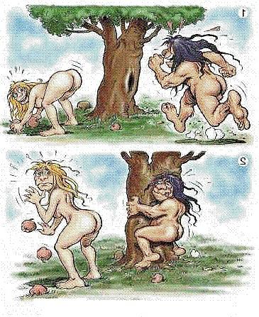 7P Funny pics 2