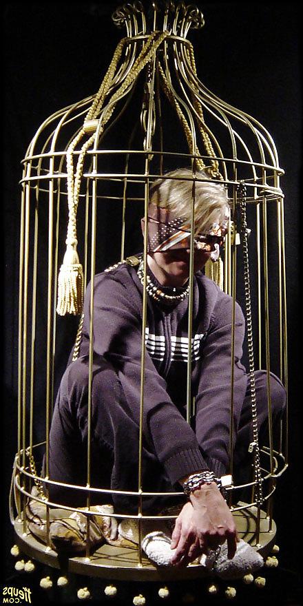 24P Cage 3!