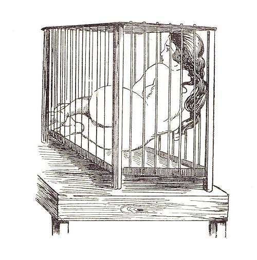 24P Cage 3!
