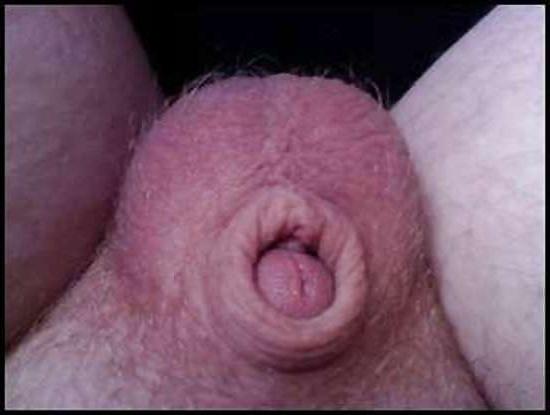 7P Smallest Penis Ever