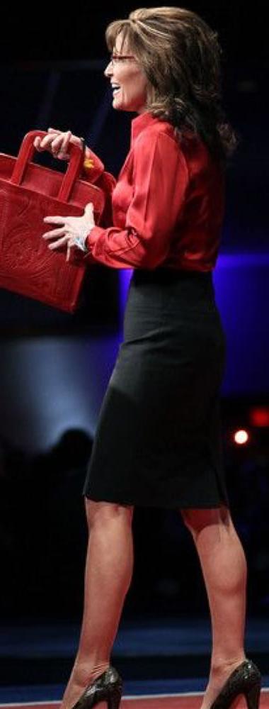 25P Palin  would not  vote for her but would fuck her