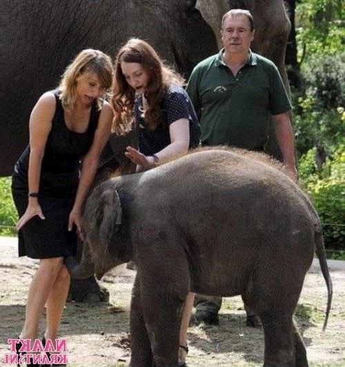 13P Funny pics