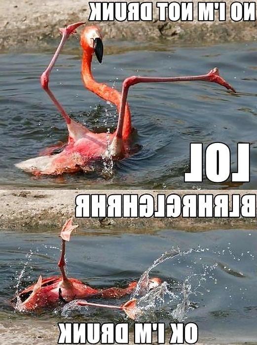 19P Just for fun.. 