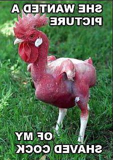 19P Just for fun.. 