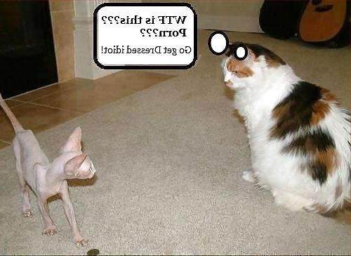 19P Just for fun.. 