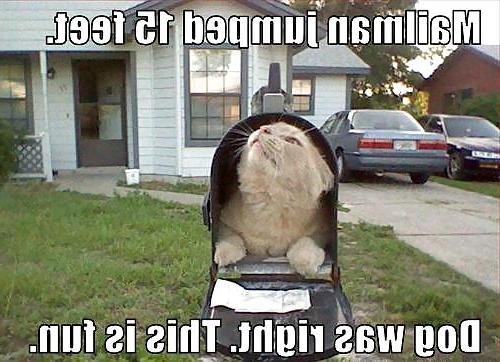 19P Just for fun.. 