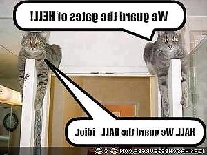 19P Just for fun.. 