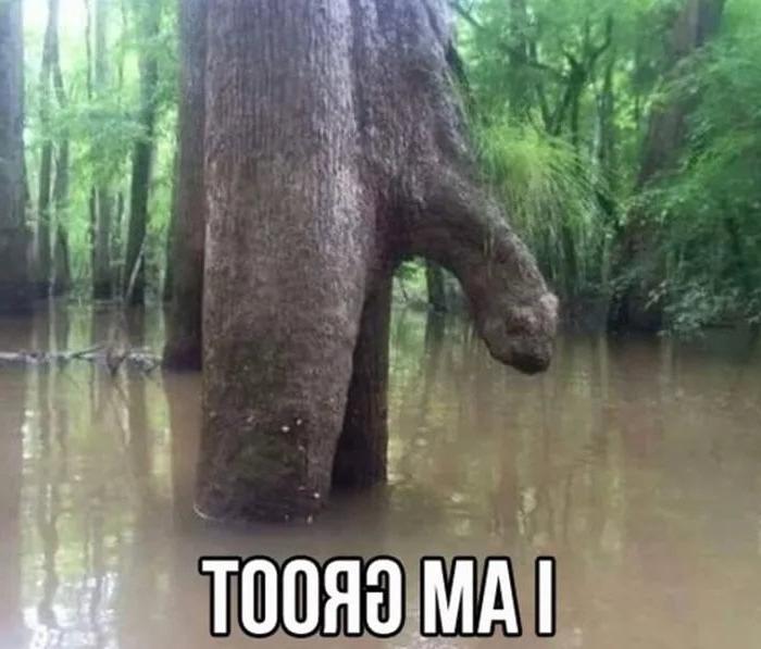 25P Funny