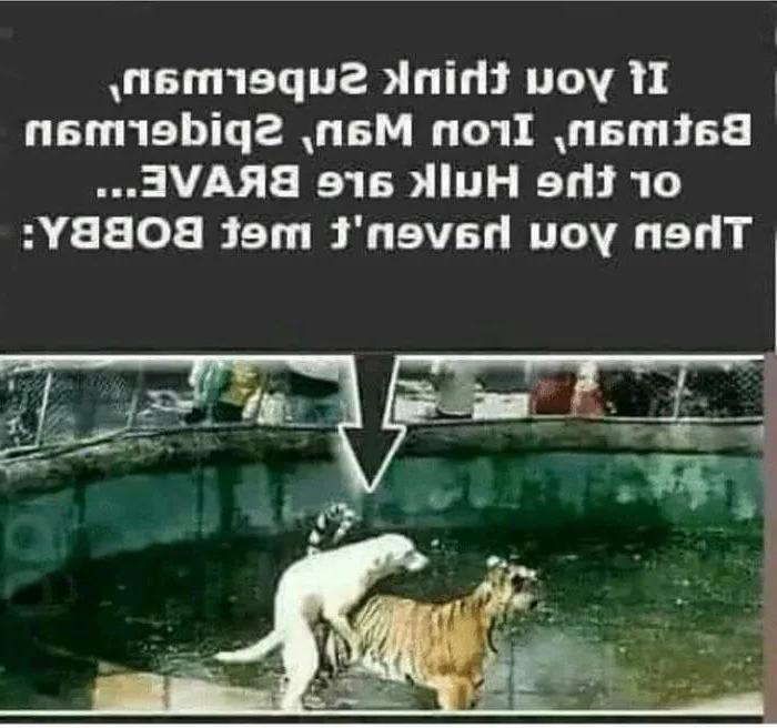 25P Funny