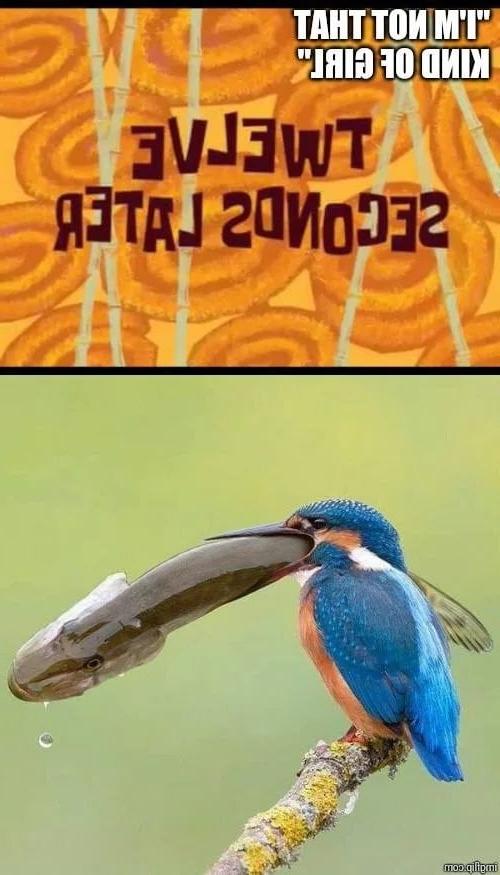 25P Funny