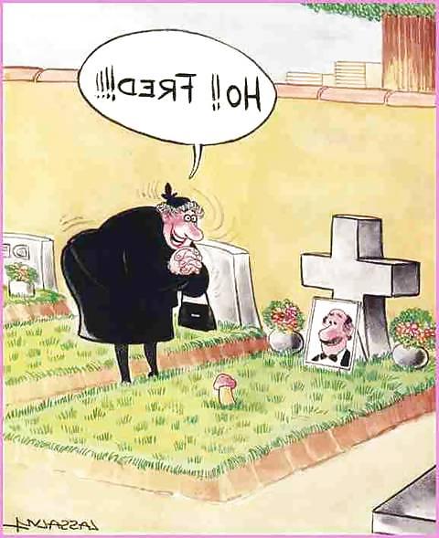 22P A Bit Of Humor
