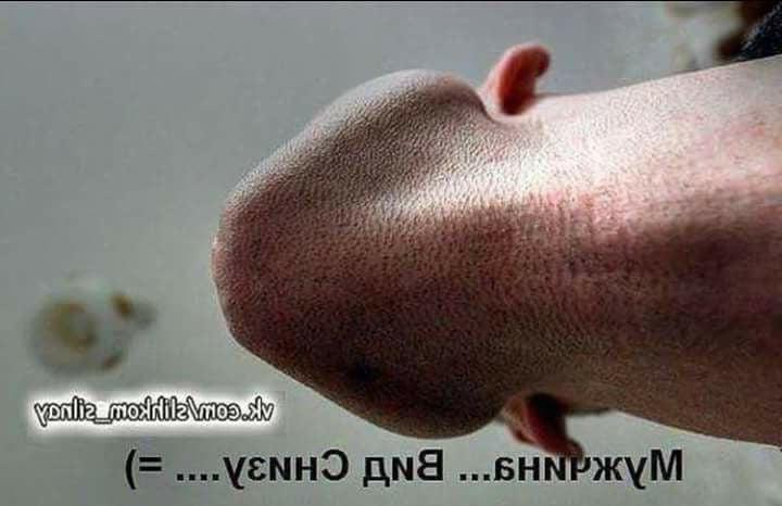 25P Funny &amp; sexy 16