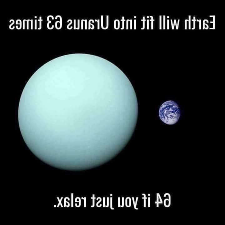12P What's So Fuckin' FUNNY?