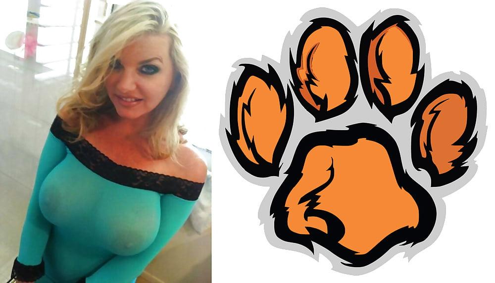 24P Cougar Collage 01