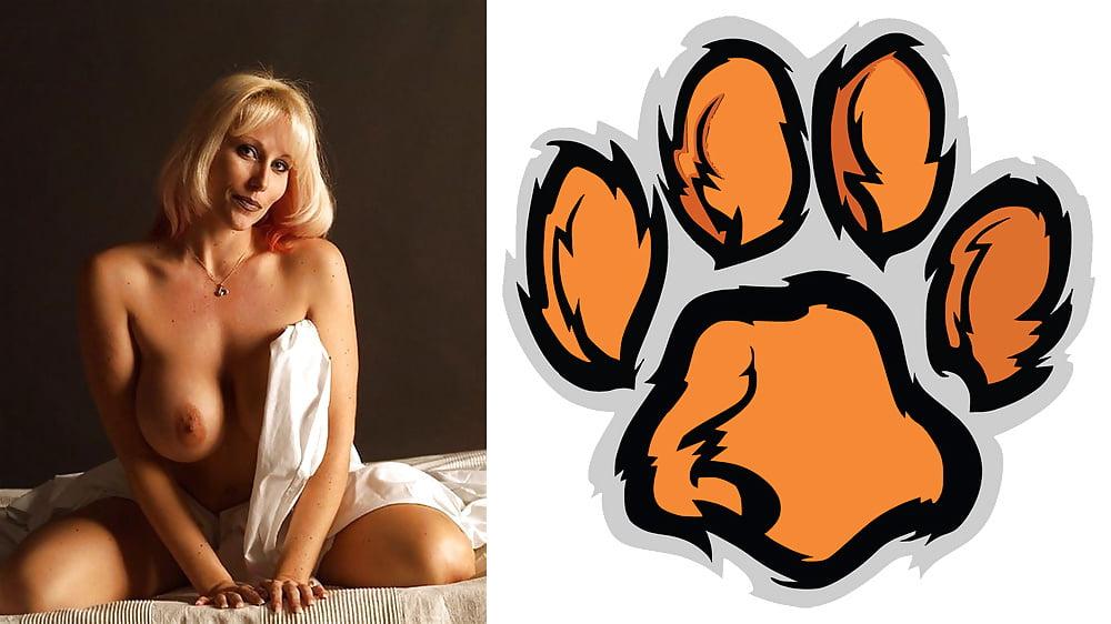 24P Cougar Collage 01